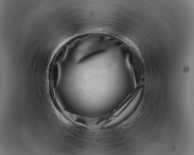 X0000090760792200708031629