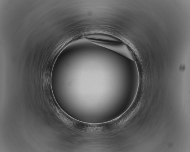 X0000090760793200708031629