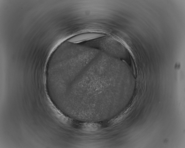 X0000090760795200708031629