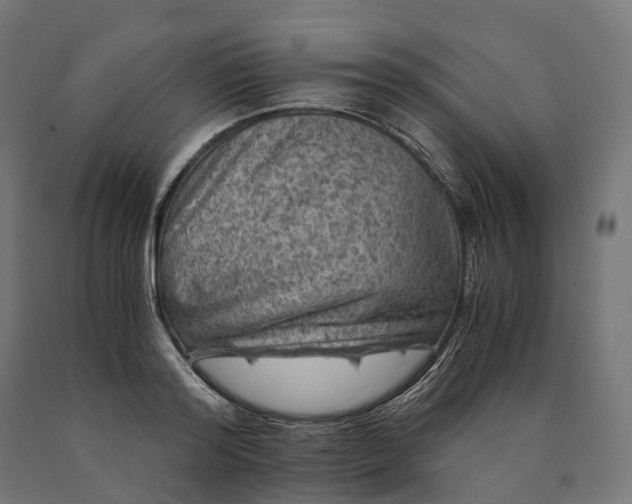 X0000090760796200708031629