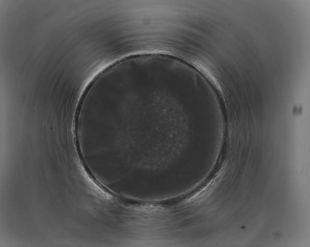 X0000090760797200708031629