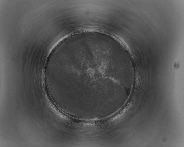 X0000090760798200708031629