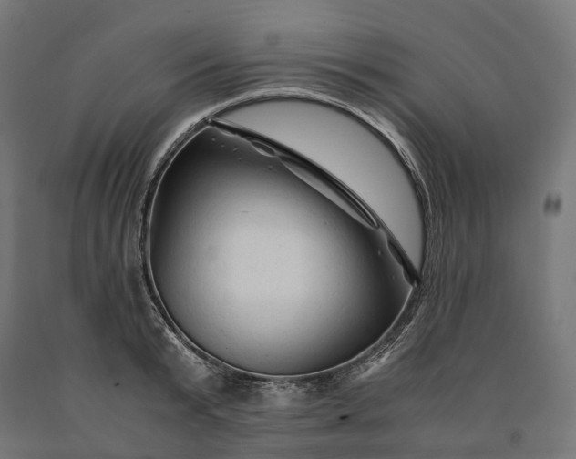 X0000090760799200708031629