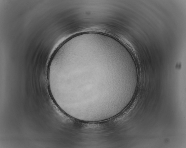 X0000090760800200708031629