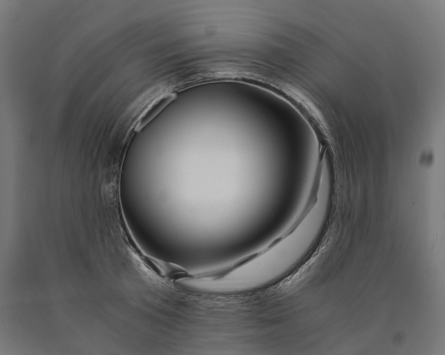 X0000090760801200708031629