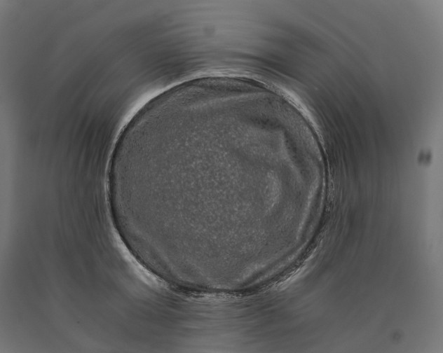 X0000090760803200708031629