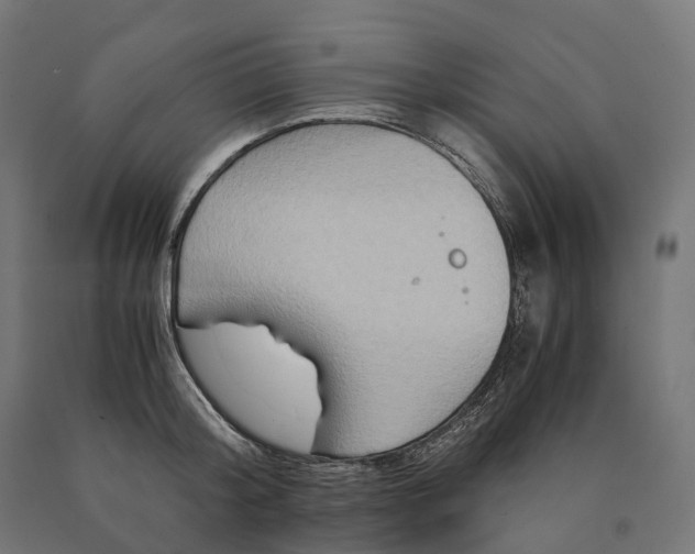 X0000090760804200708031629