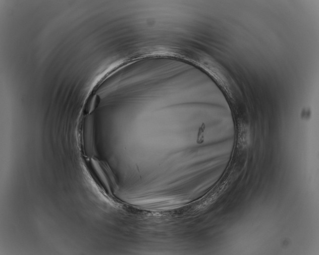 X0000090760806200708031629