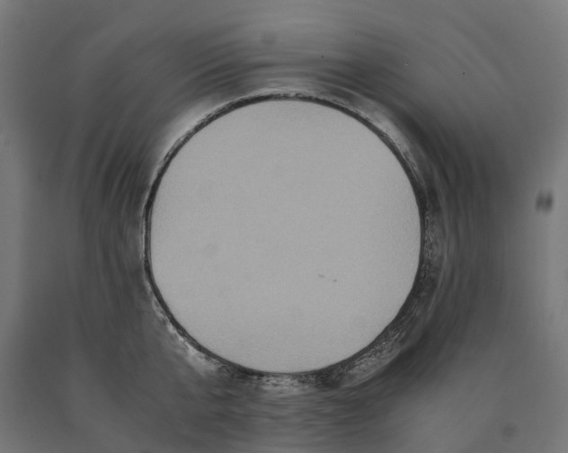 X0000090760807200708031629