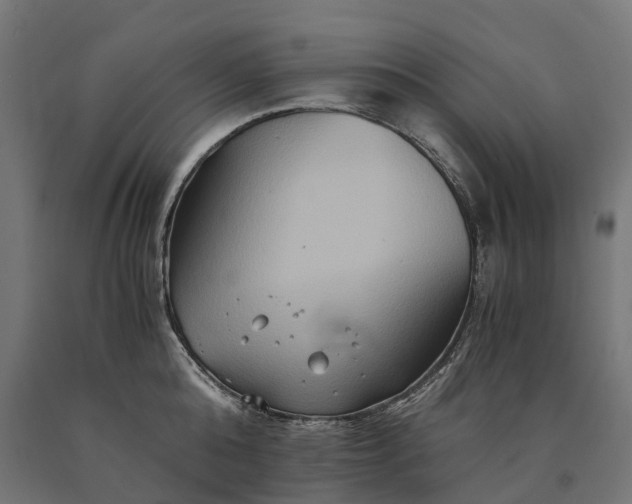 X0000090760808200708031629