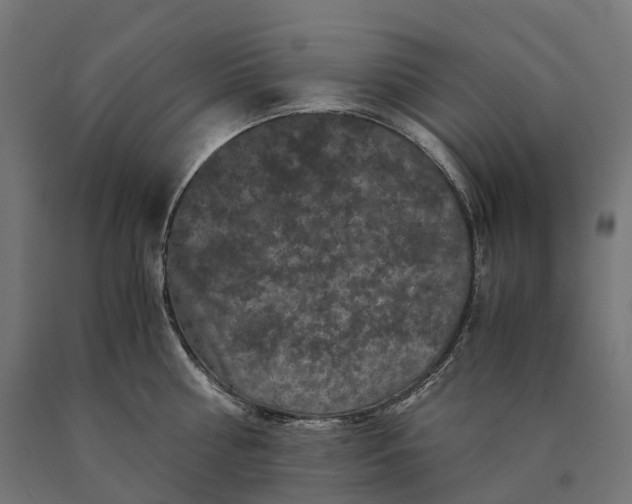 X0000090760810200708031629