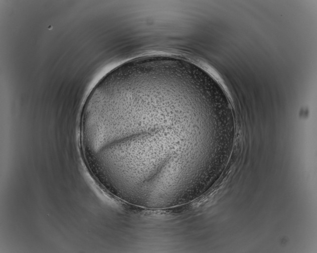 X0000090760811200708031629