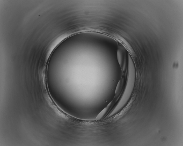 X0000090760812200708031629