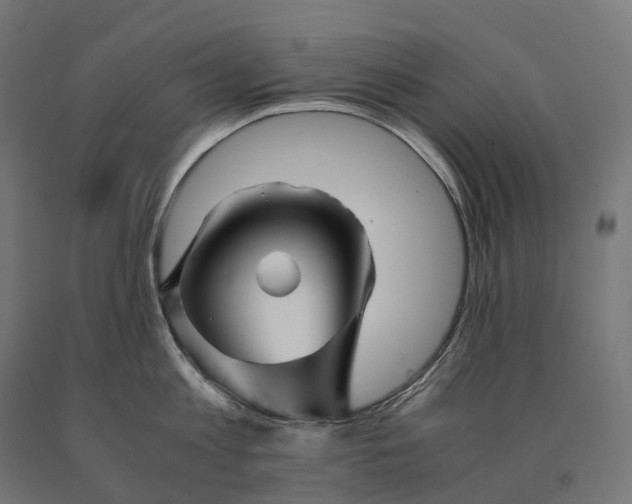 X0000090760813200708031629