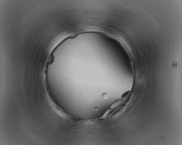 X0000090760814200708031629