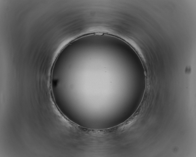 X0000090760815200708031629