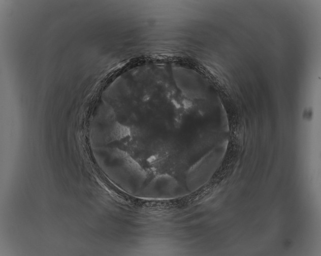 X0000090760817200708031628