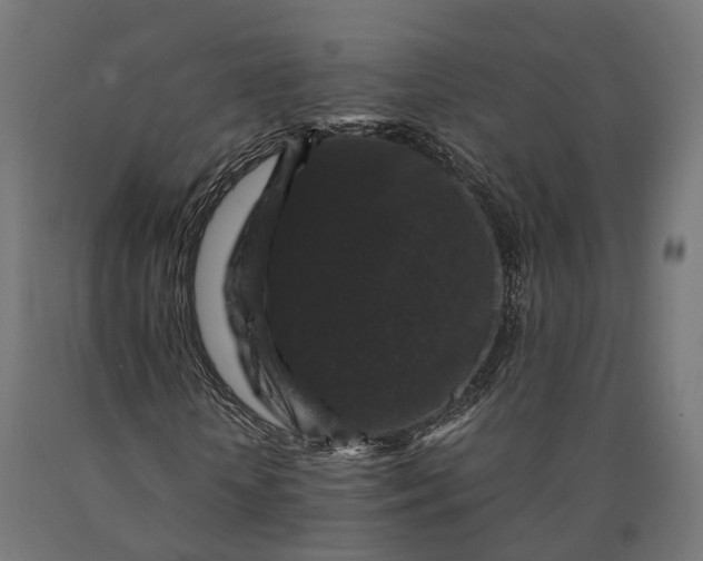 X0000090760818200708031628