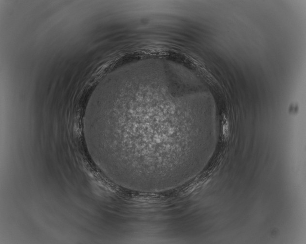 X0000090760819200708031628