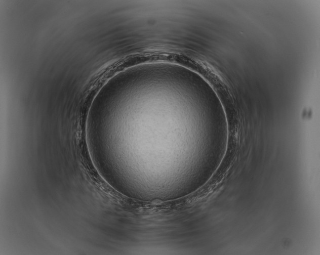 X0000090760821200708031628