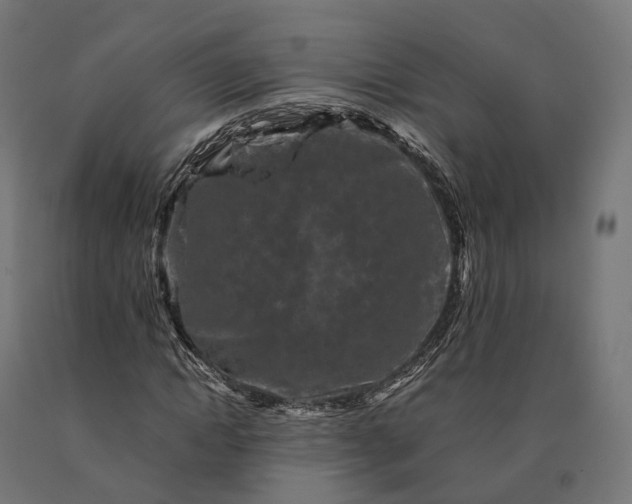 X0000090760822200708031628