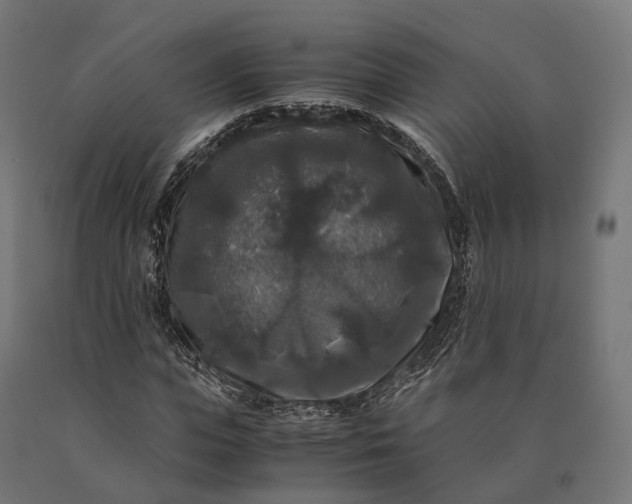 X0000090760823200708031628