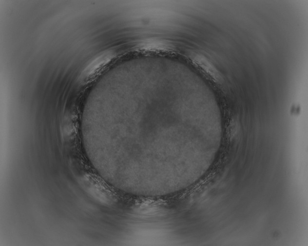 X0000090760824200708031628