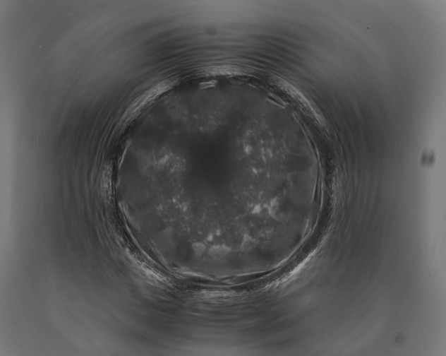 X0000090760825200708031628