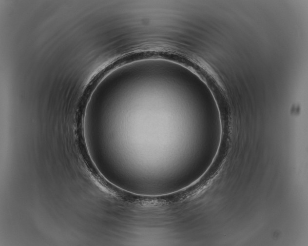 X0000090760826200708031628