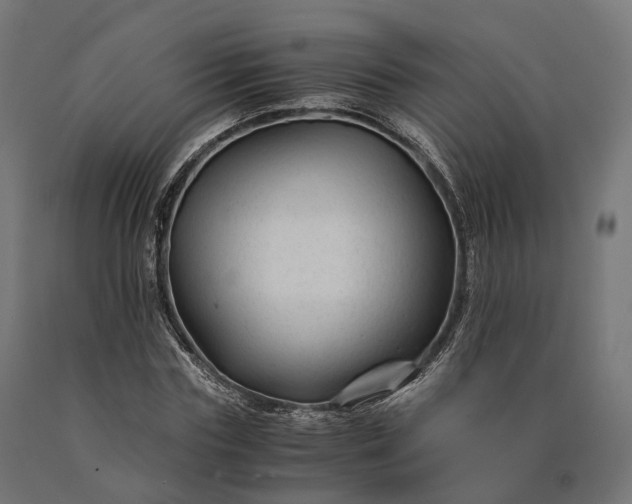 X0000090760827200708031628