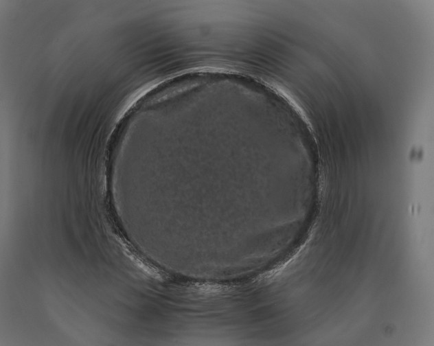 X0000090760829200708031628