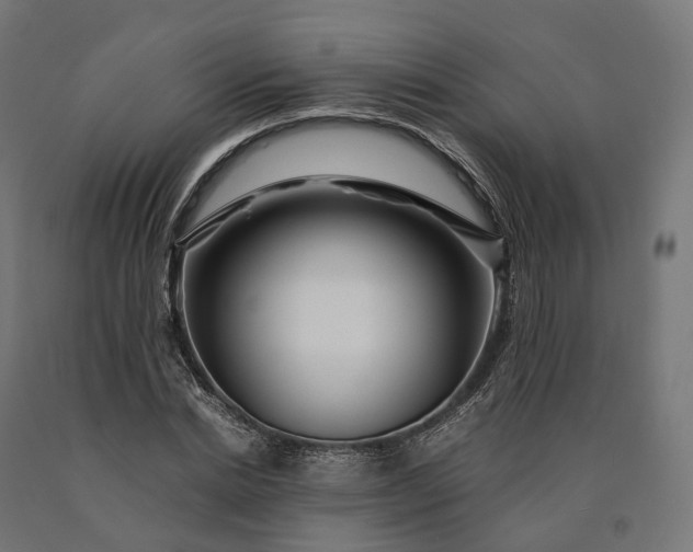 X0000090760830200708031628