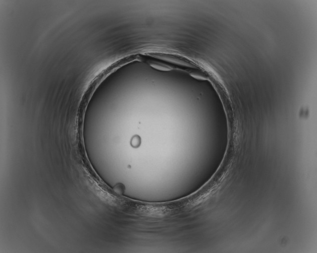 X0000090760831200708031628