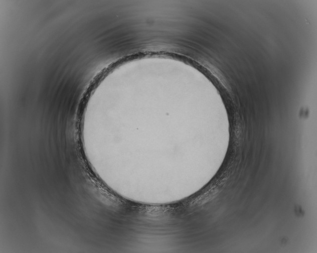 X0000090760832200708031628