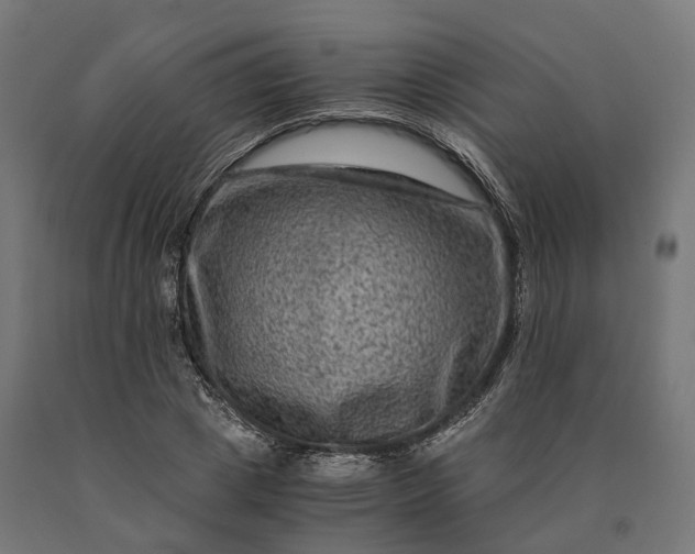 X0000090760833200708031628