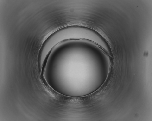 X0000090760834200708031628