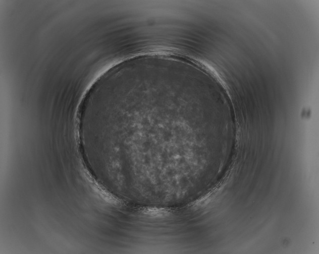 X0000090760835200708031628