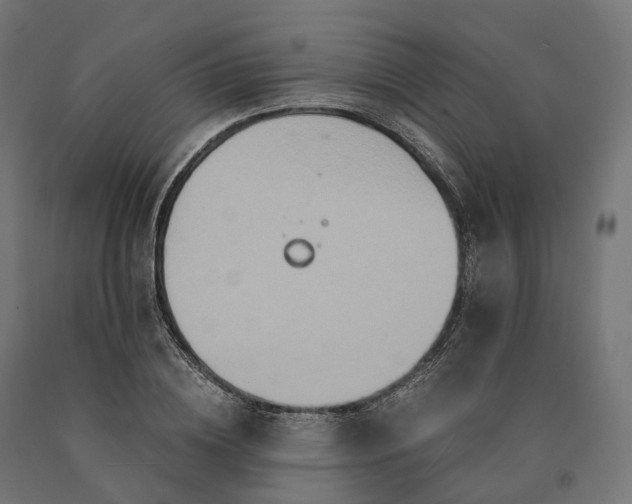 X0000090760836200708031628