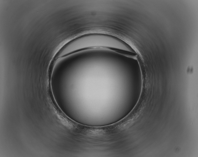 X0000090760837200708031628