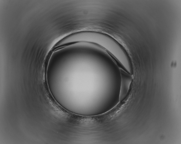 X0000090760838200708031628