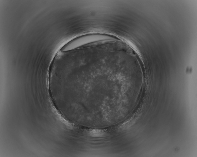 X0000090760839200708031628