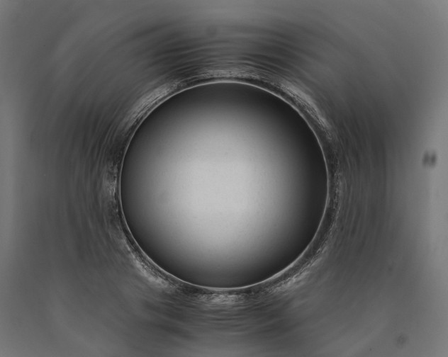 X0000090760841200708031628