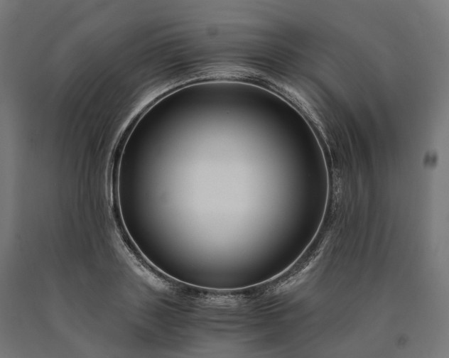 X0000090760843200708031628