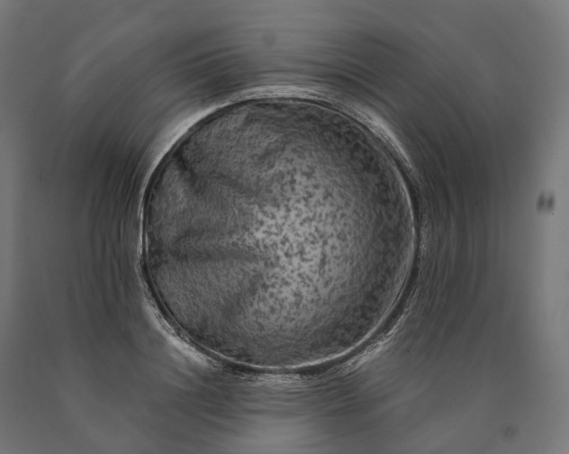 X0000090760844200708031628