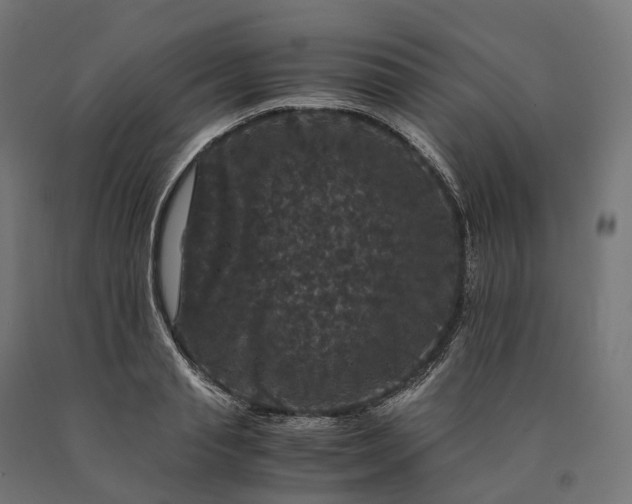 X0000090760845200708031628