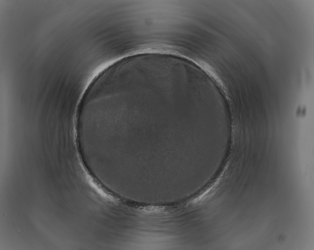 X0000090760846200708031628