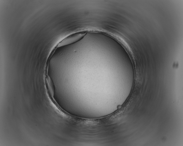 X0000090760847200708031628