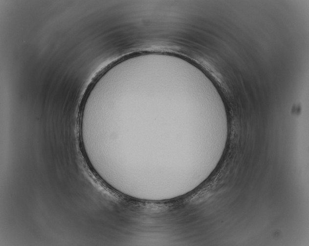 X0000090760848200708031628