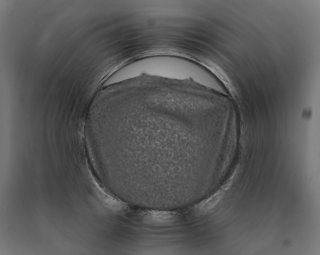 X0000090760849200708031628