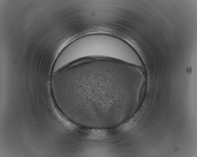 X0000090760850200708031628